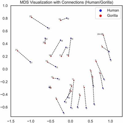 Automated recognition of chromosome fusion using an alignment-free natural vector method